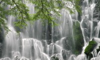世界游泳赛维生系统紧急联动演练总结，游泳世界锦标赛