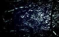 世界滑板公开赛赛事纪录片开拍，世界滑板冠军视频